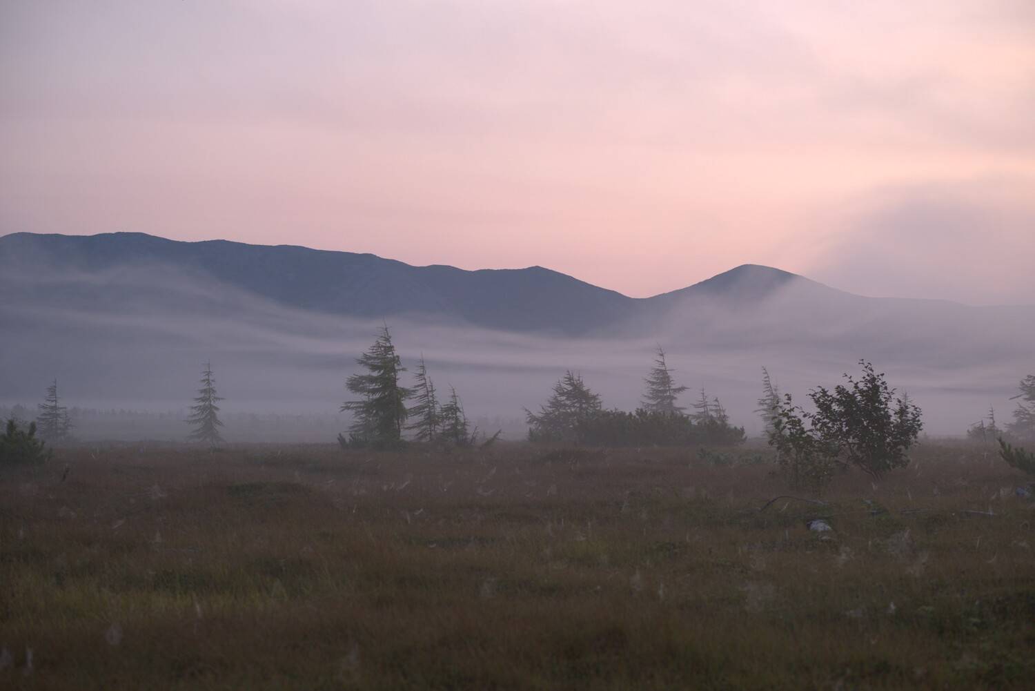 Photo #13744419