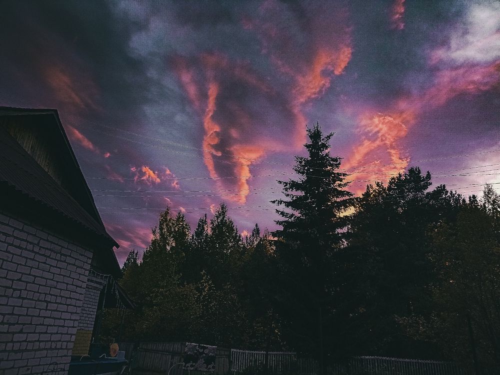 Photograph by Евгения Суслова
