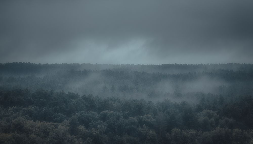 Photograph by Щербакова Юлия