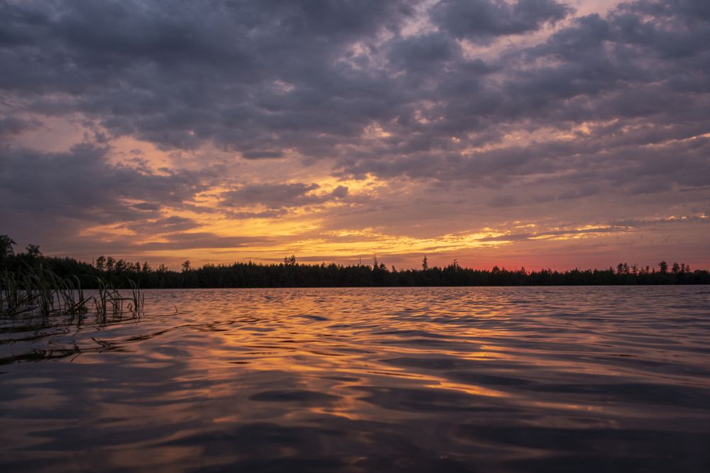 Photograph by АНДРЕЙ АБАКУМОВ