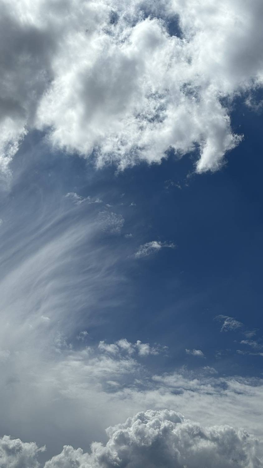 Photo #13744560