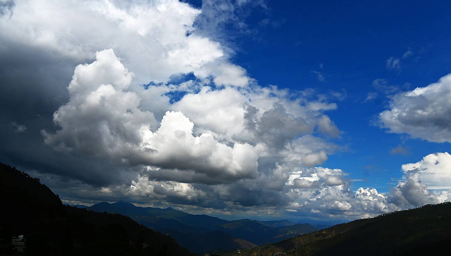 Photo #13744780