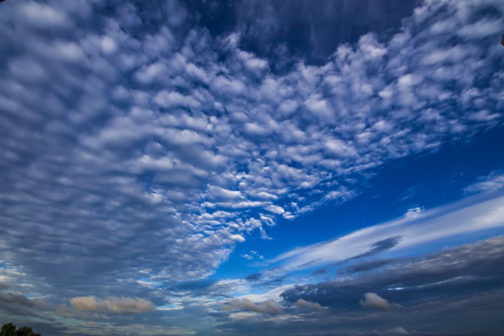 Photo #13744803