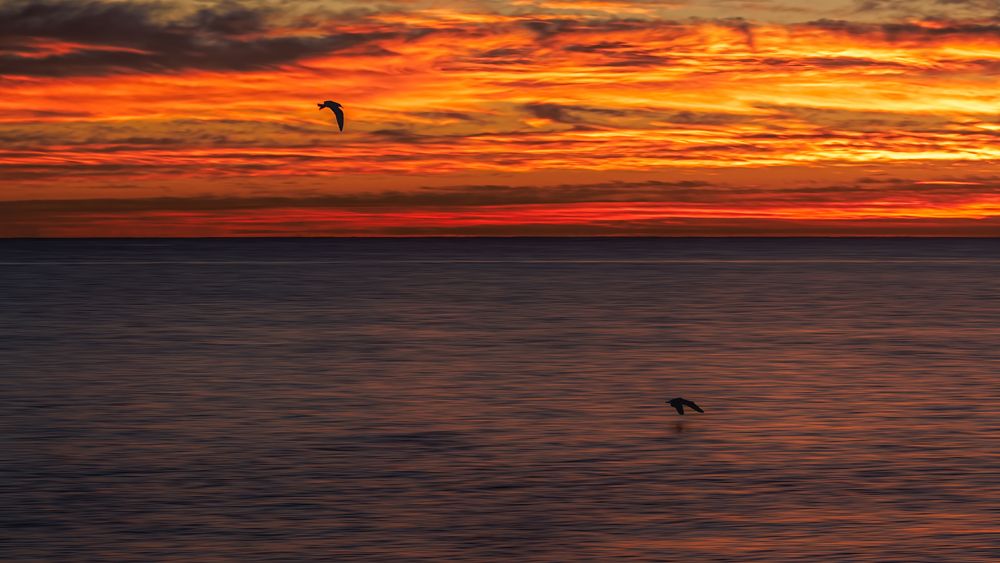 Photograph by Christabel Way