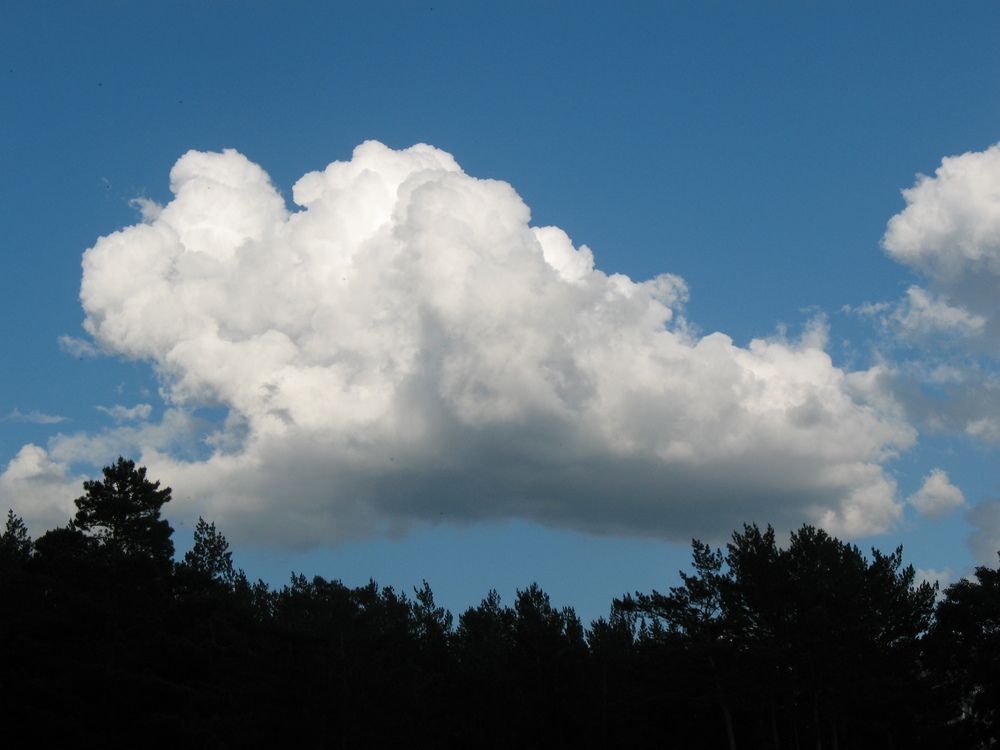 Photograph by Владимир