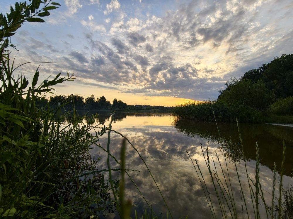 Photo #13744903