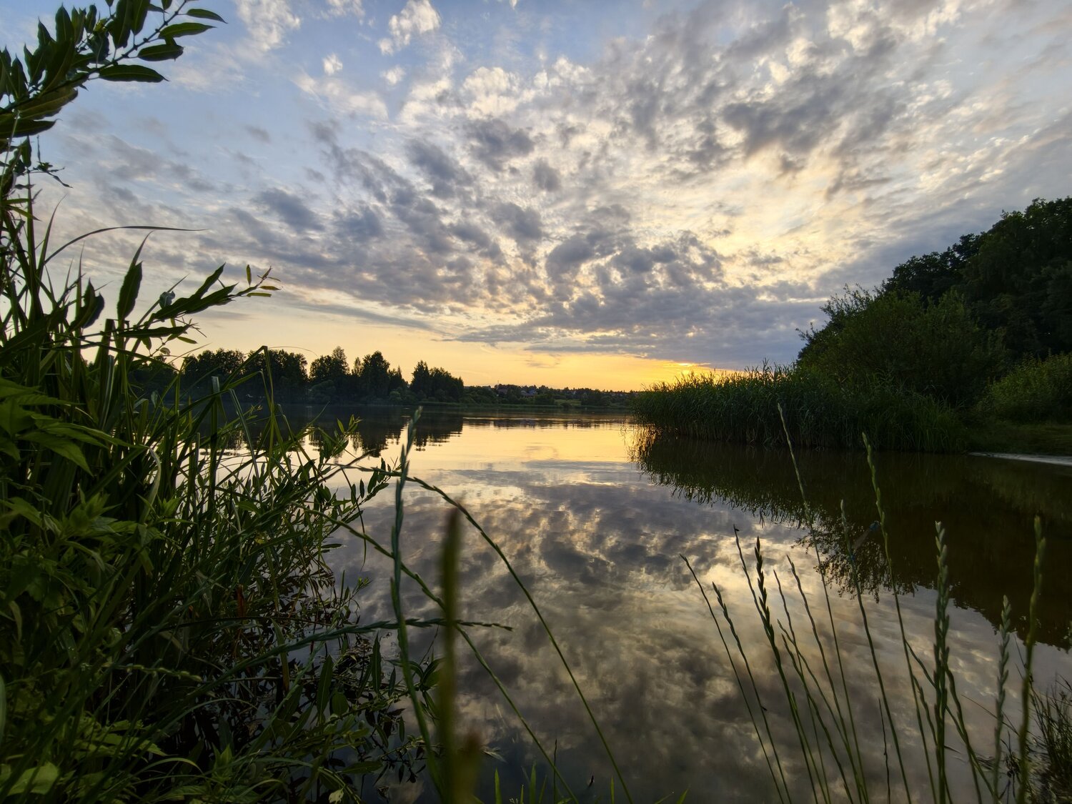 Photo #13744903
