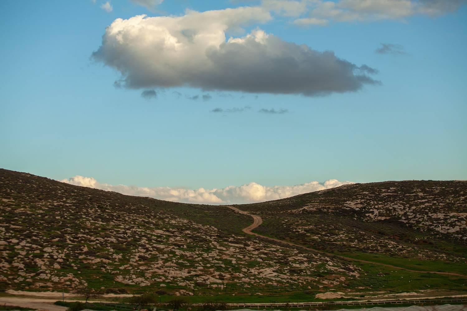 Photo #13744932