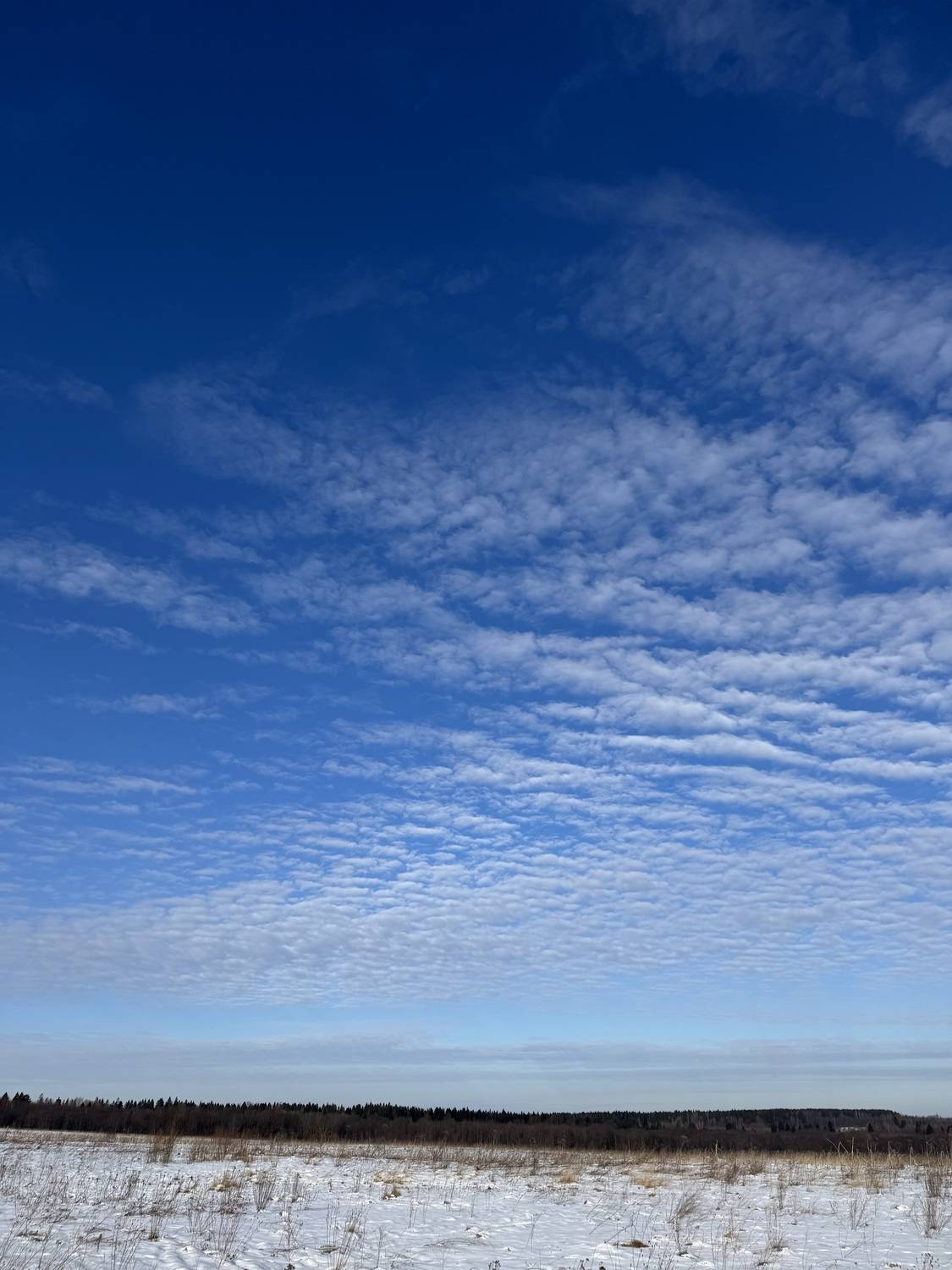 Photo #13744960
