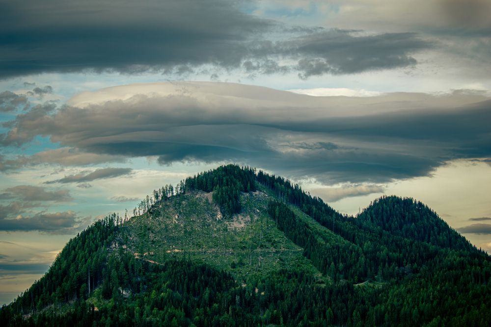 Photograph by Gregor Kobilica