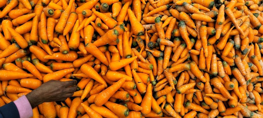 Hands of Abundance: The Harvest Story