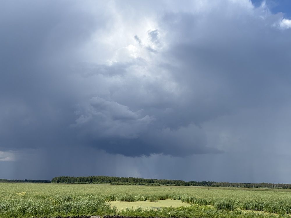 Photograph by Юлия Рязанова