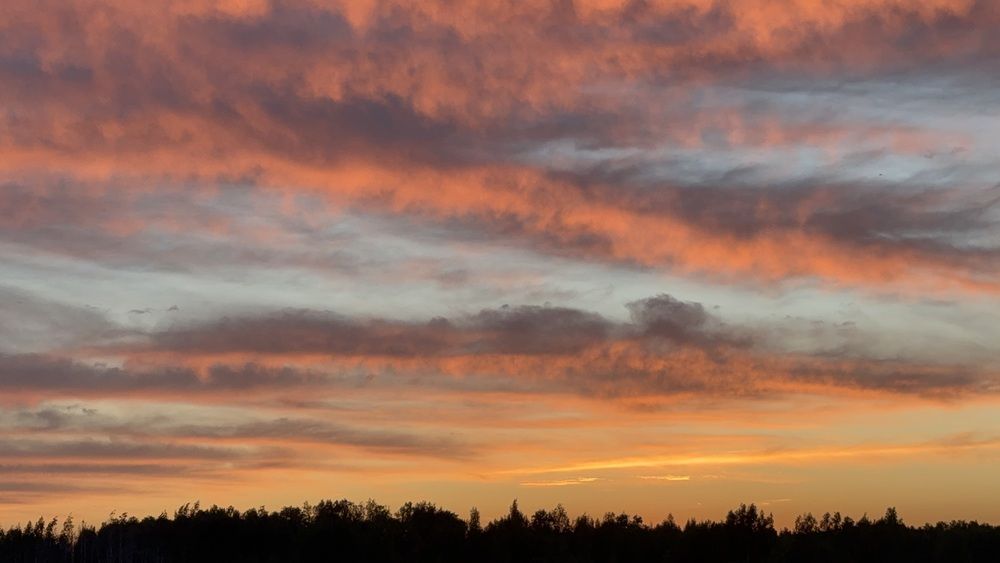 Photograph by Юлия Рязанова
