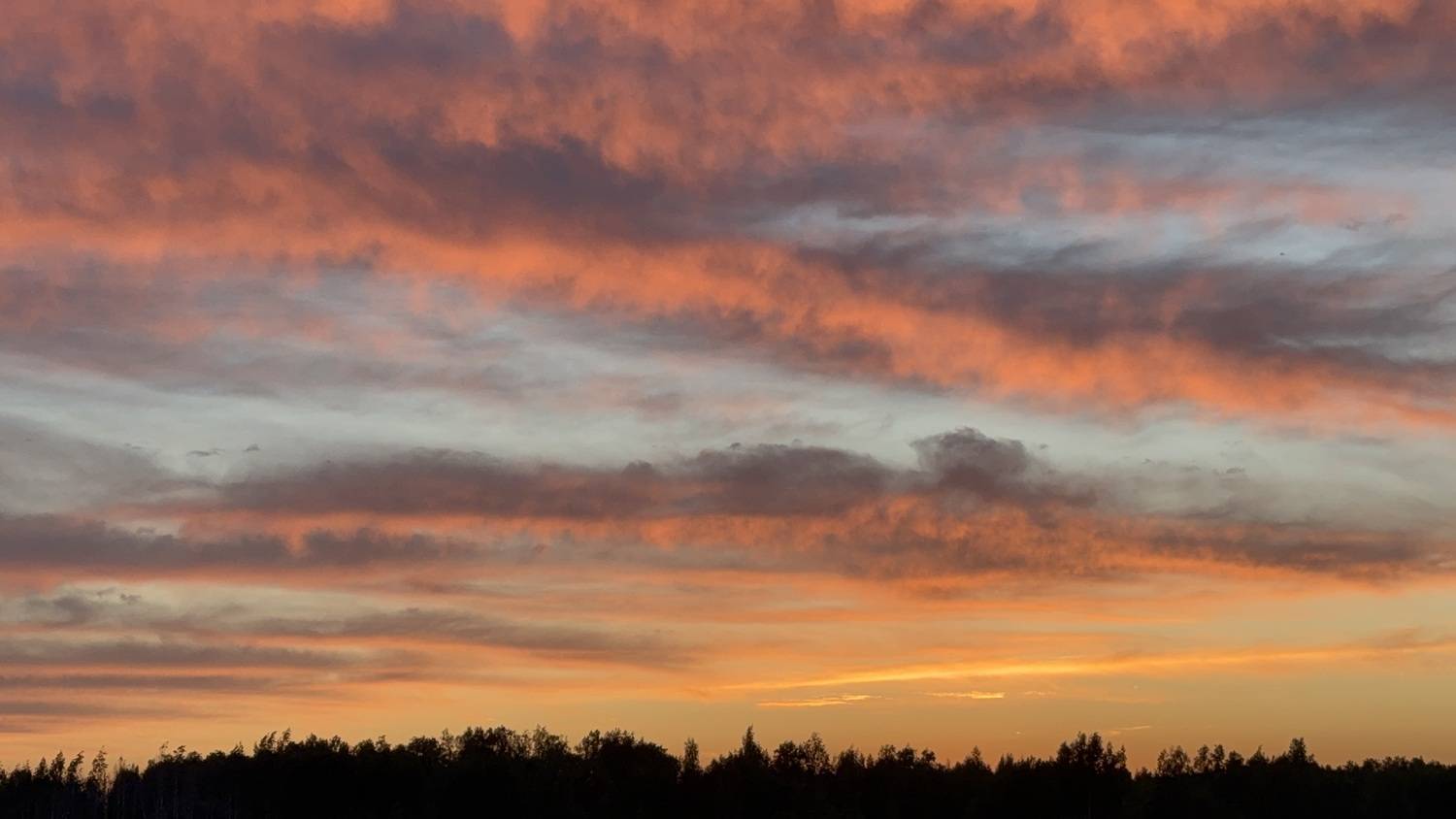 Photo #13745066