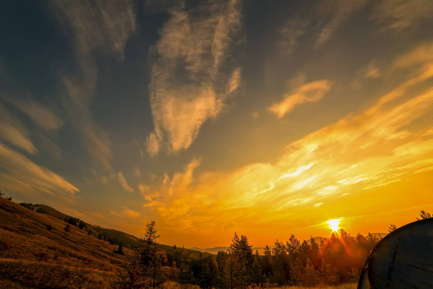 Photo #13745088