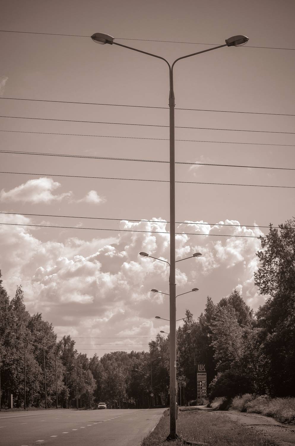 Photo #13745098