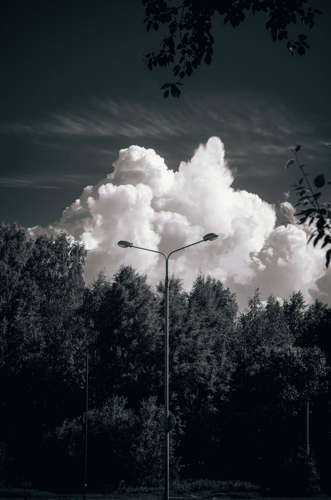 Photograph by Любовь Бусова