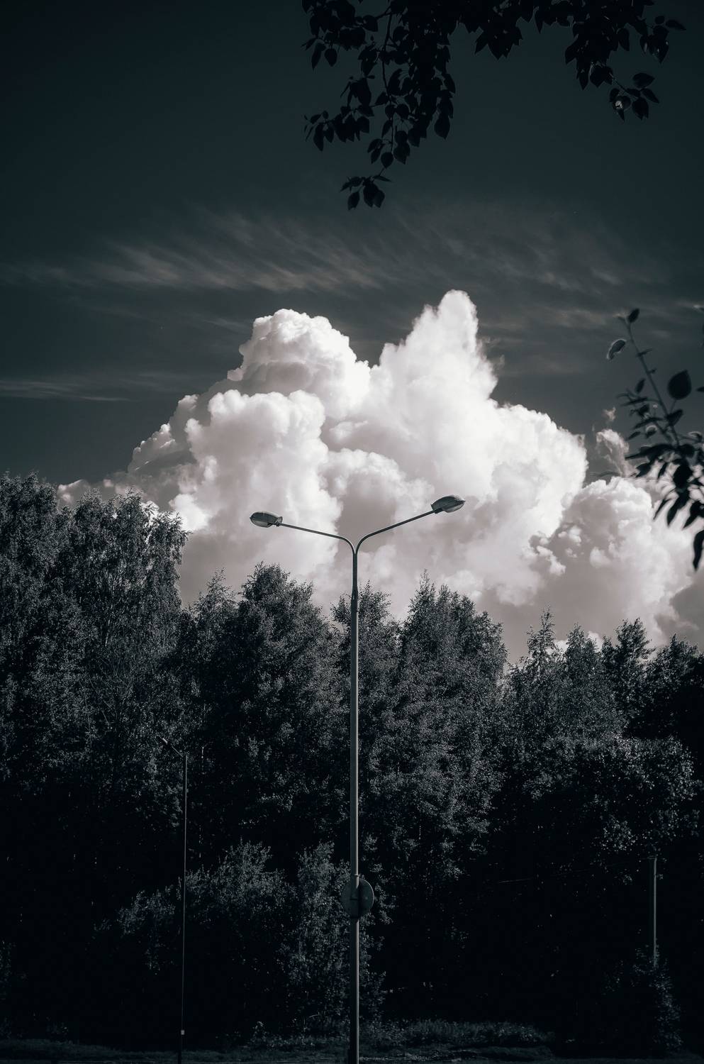 Photo #13745100