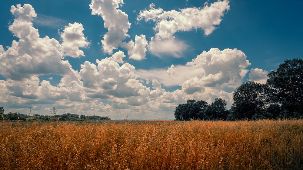 Photograph by Вадим Коваленко