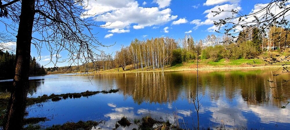 Photograph by Ольга Булавкина