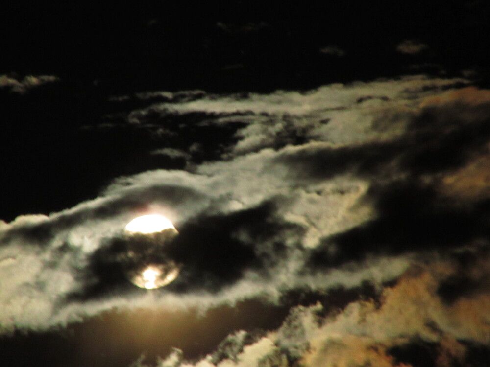 Photograph by Смирнов Сергей