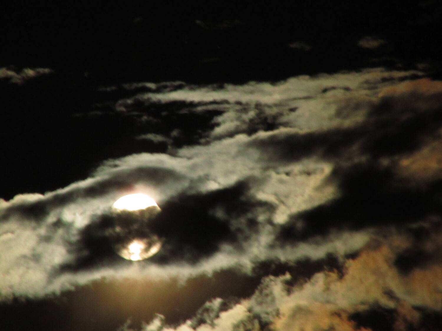Photo #13745216