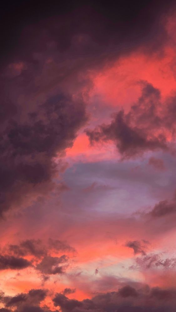 Photo #13745243