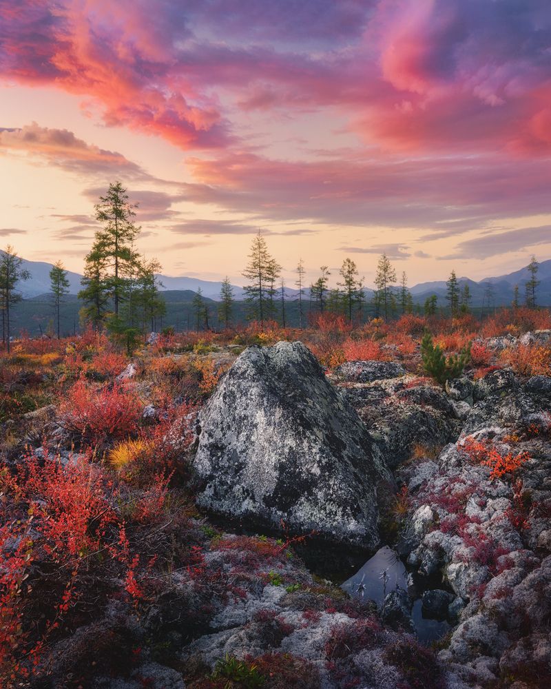 Photograph by Медянцев Дмитрий