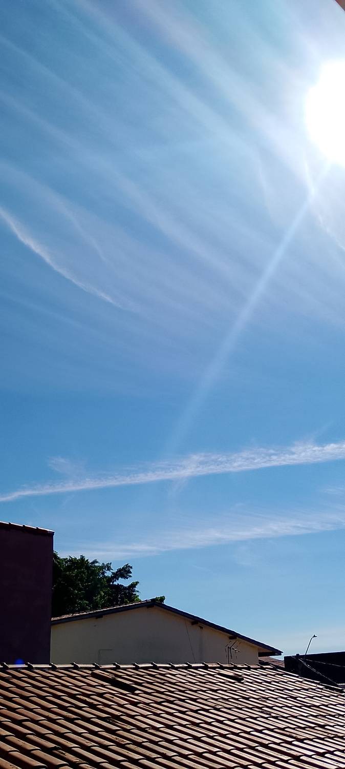 Photo #13745271