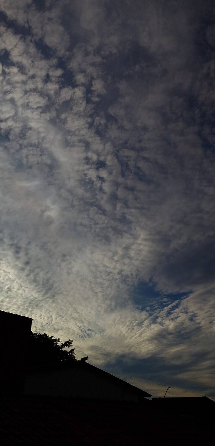 Photo #13745279