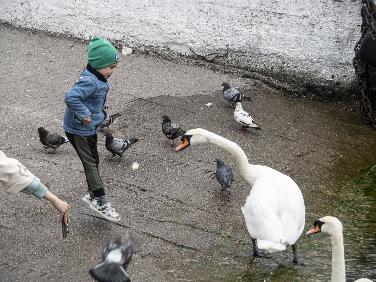 Photo #13745320