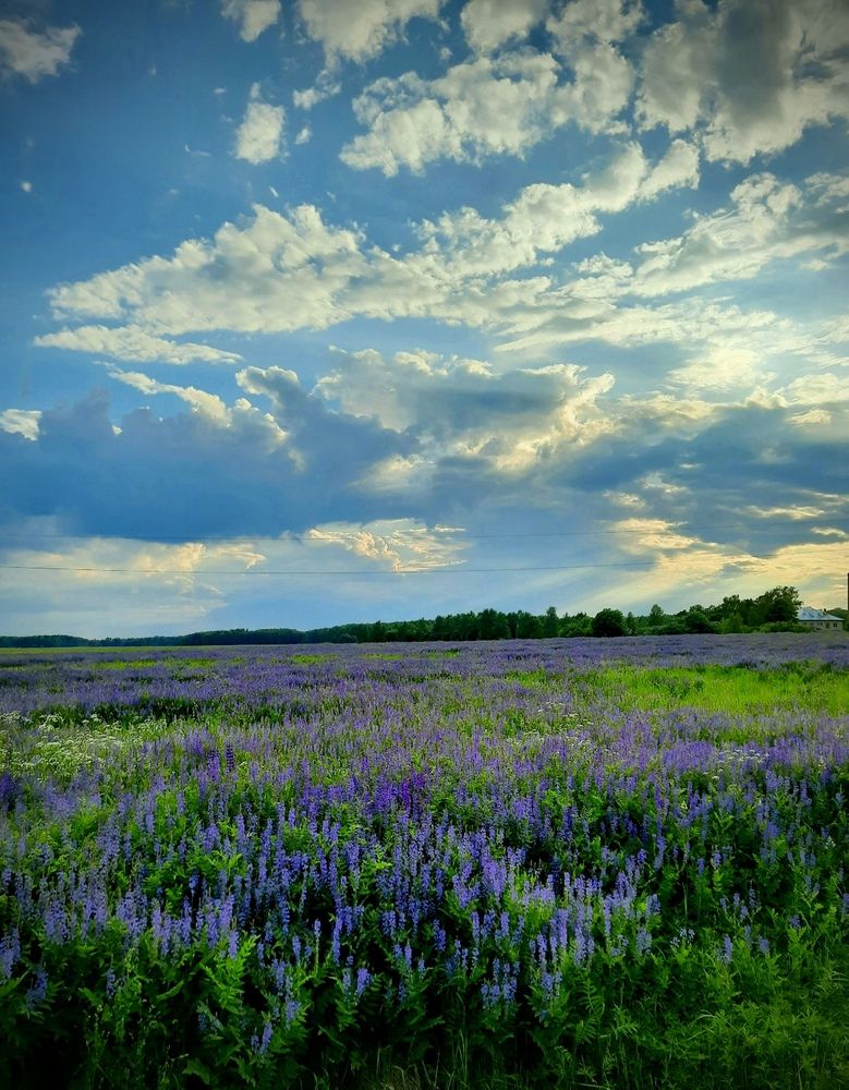 Photograph by Alekseev Andrey
