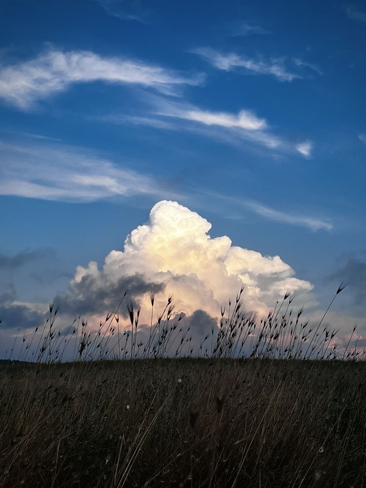 Photograph by Олеся Старицкая