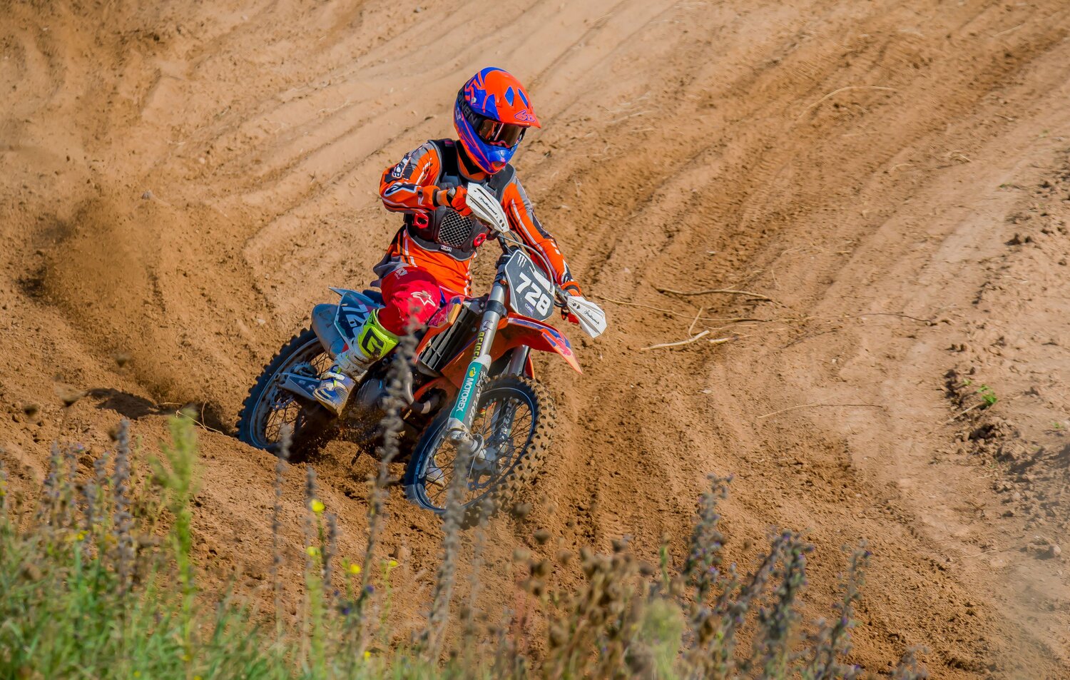 Photo #13745346