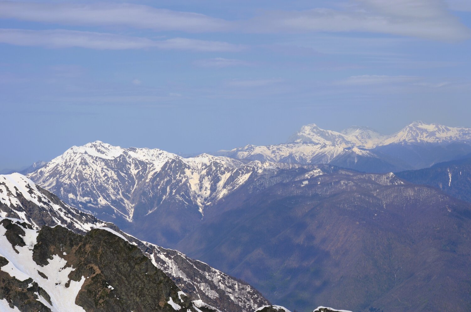 Photo #13745412