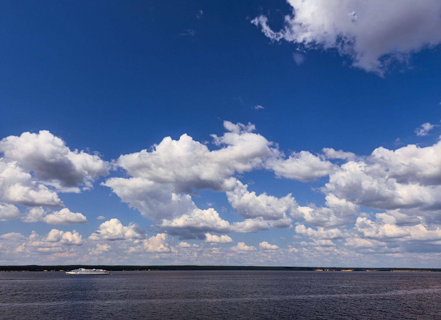 Photo #13745444