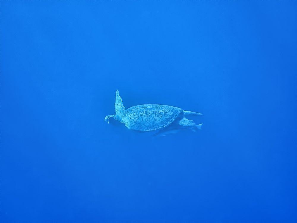 Photograph by Александр