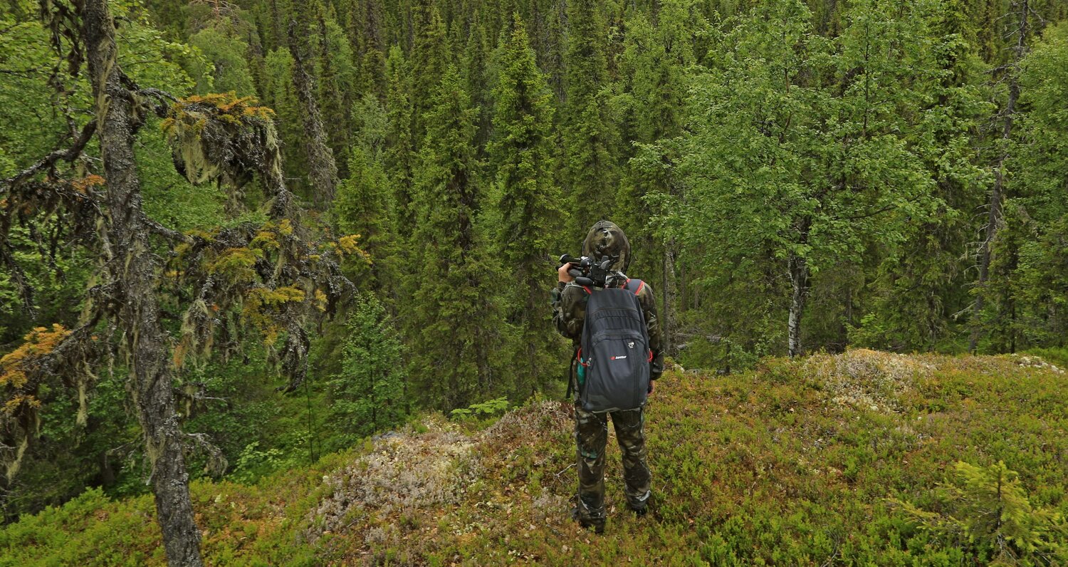 Photo #13745566