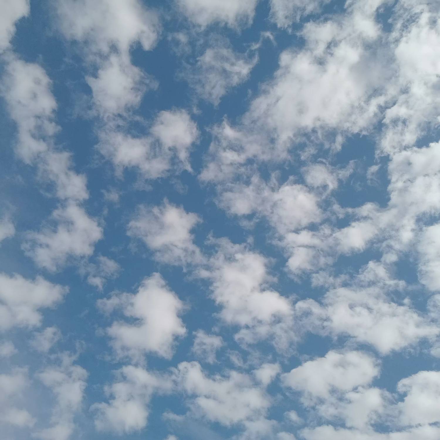 Photo #13745587