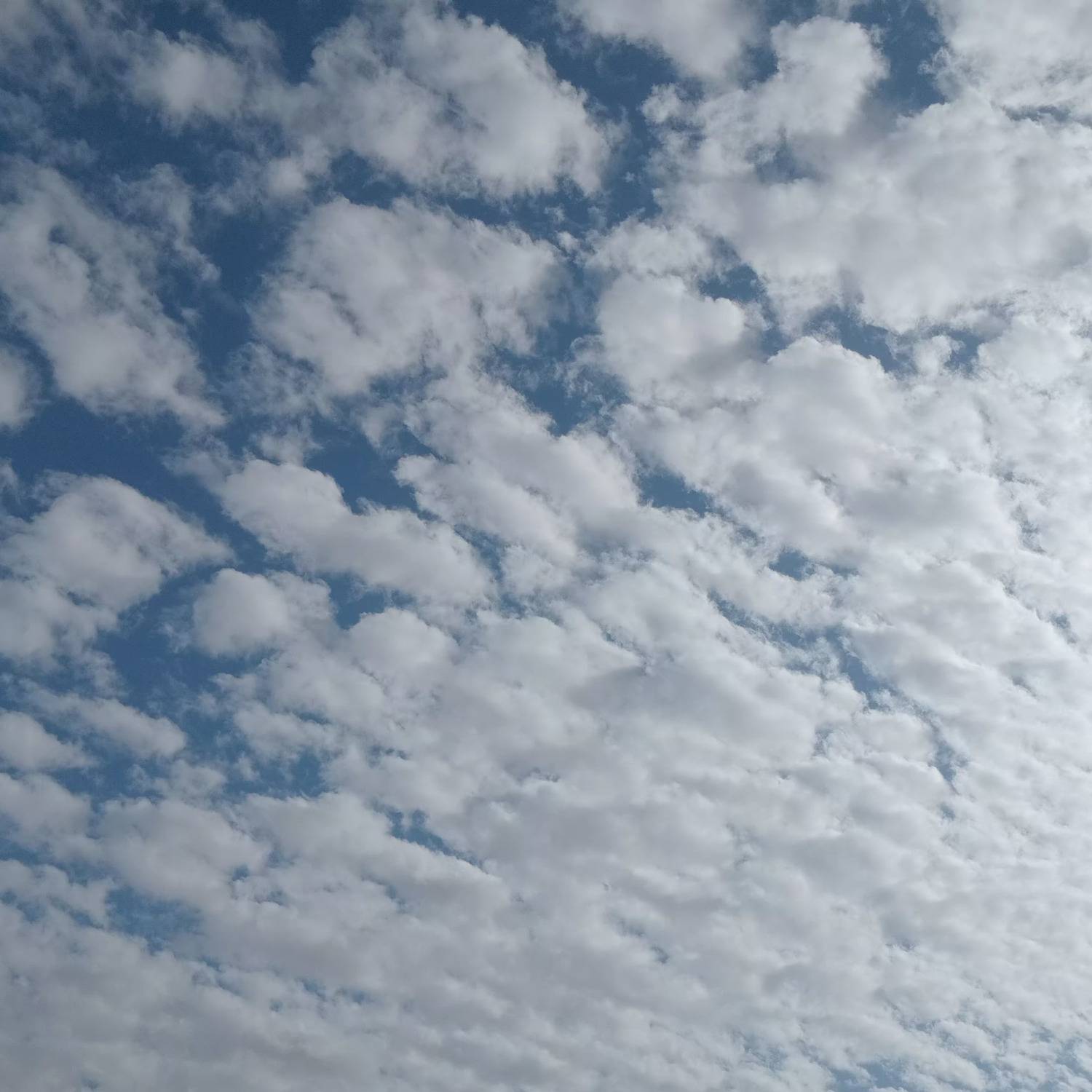Photo #13745592
