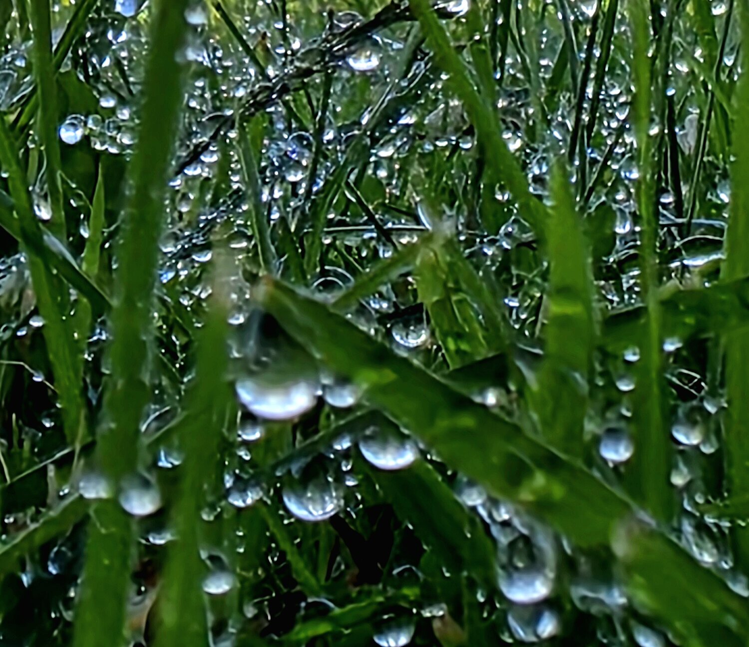 Photo #13745611