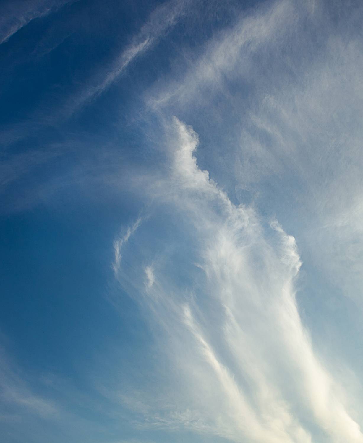 Photo #13745614