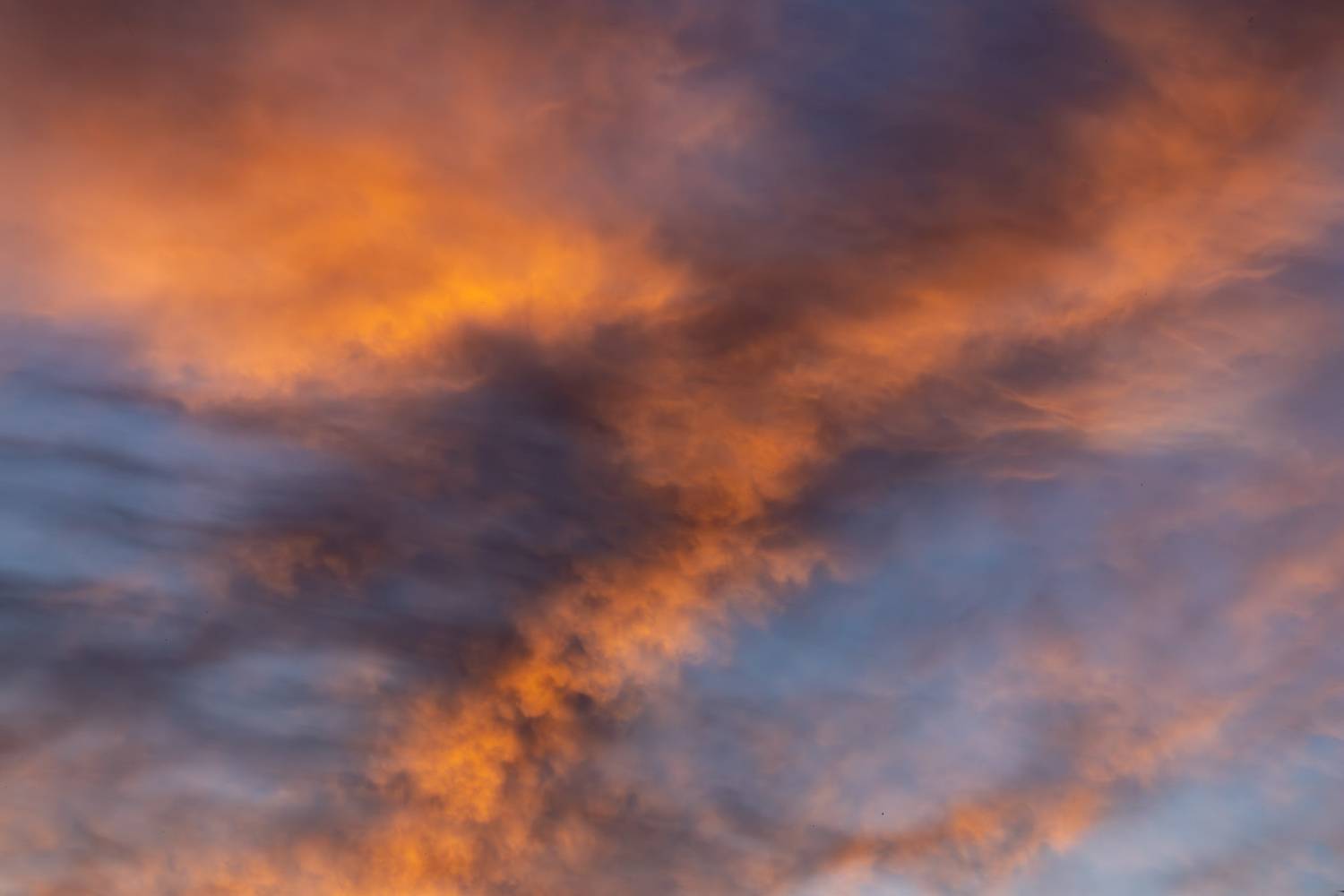 Photo #13745664