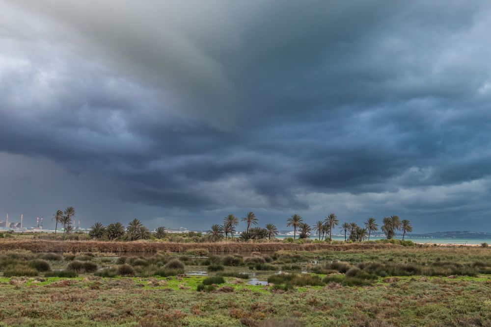 Photograph by Ismail SAIDI