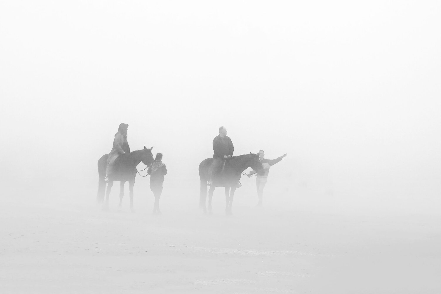 Photo #13745775