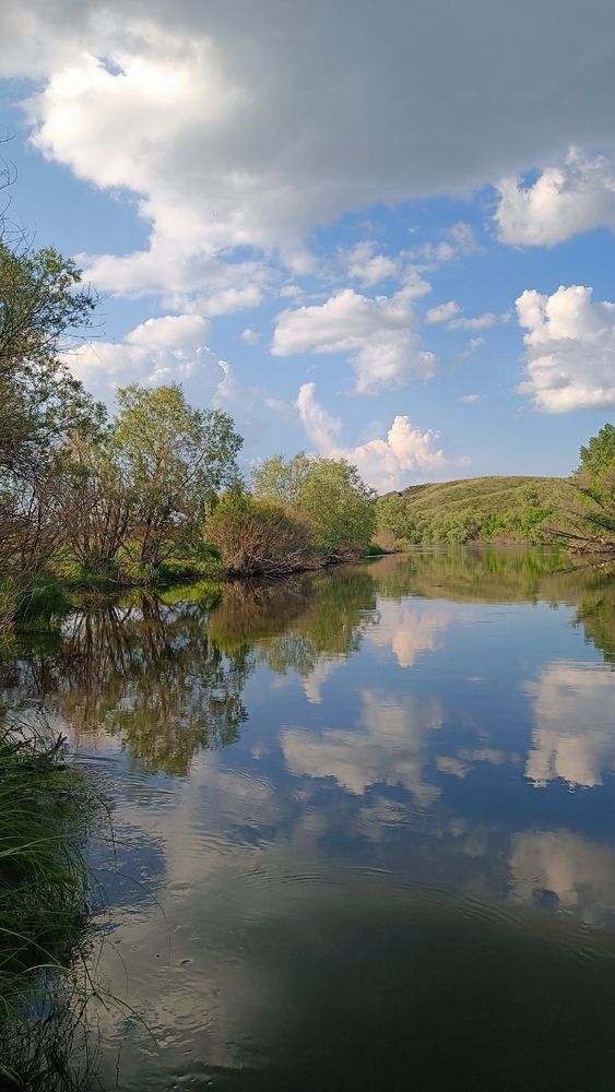 Photograph by Елена Калинина
