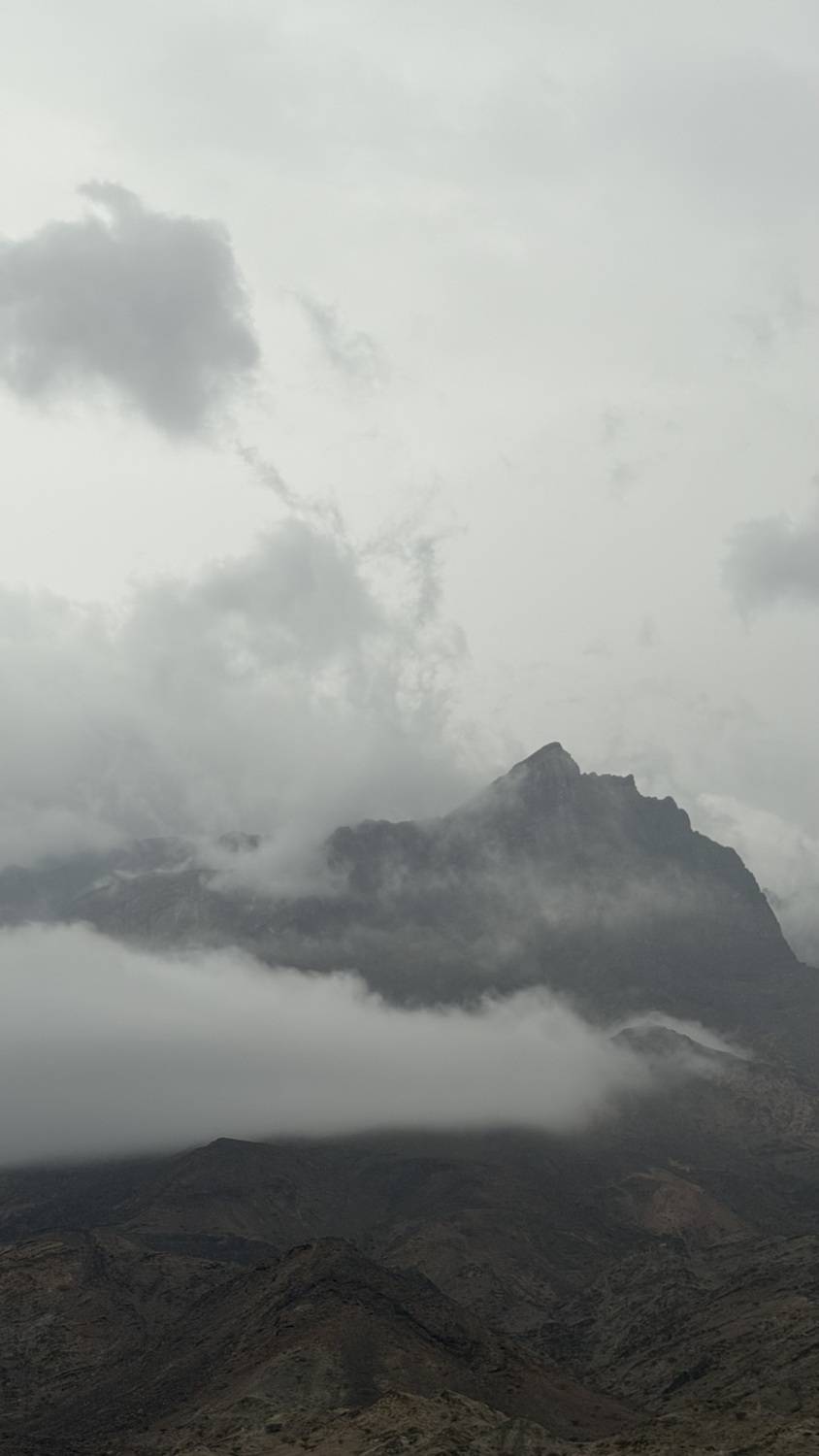 Photo #13745814