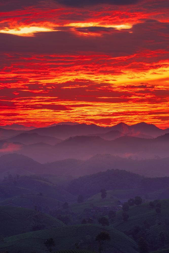 Photograph by Quân Lee