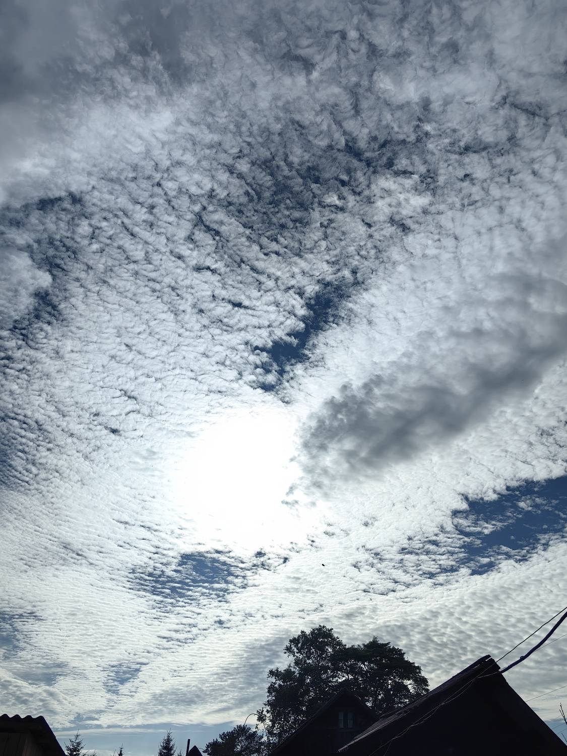 Photo #13745837