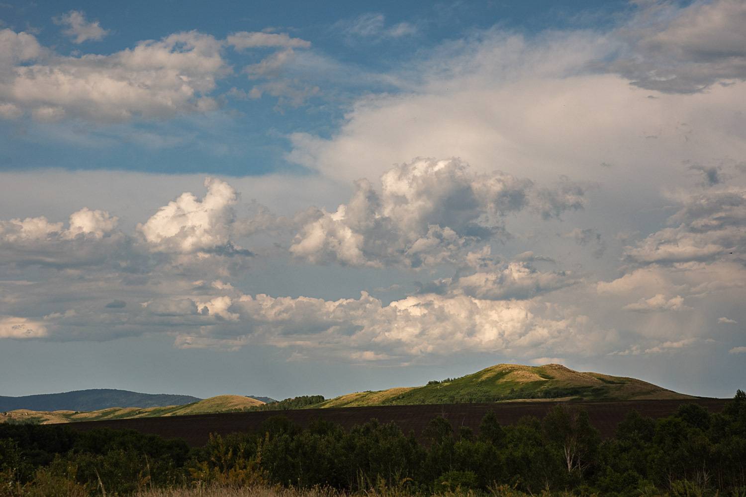 Photo #13745864